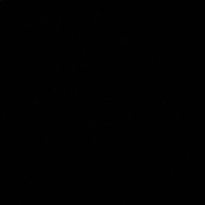 Meet your Posher, Layla